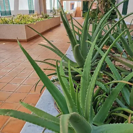 Balancon Pool * エル・メダノ